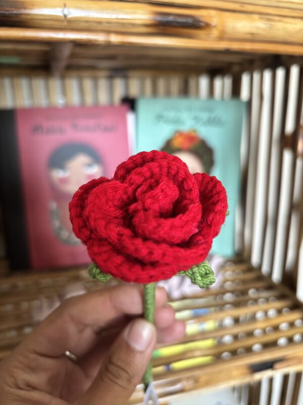 rosas solidarias de nepal